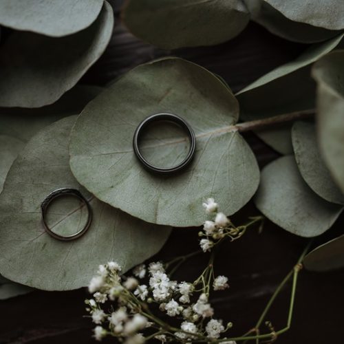 A closeup shot of two rings on heart-shaped green leaves